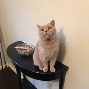 Meet your Posher, Melissa